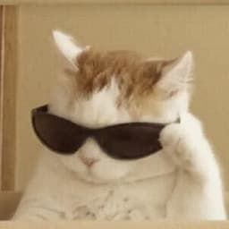 azycat