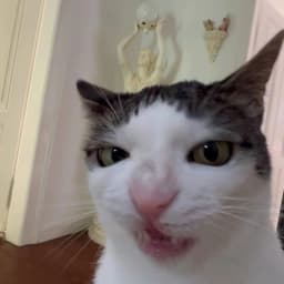 lilnerd