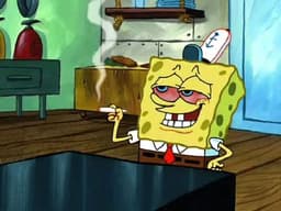 Spongiio
