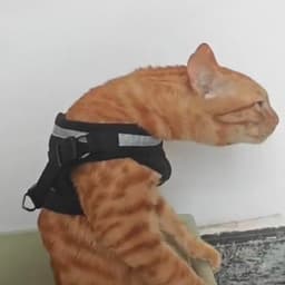 JonnyKISTKA