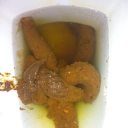nixlz