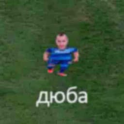 goshan_tipo