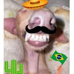 robonaldoxd