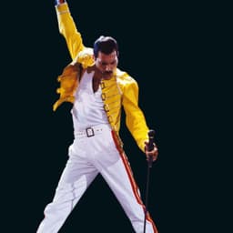 Freddie-Mcry