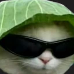 MisterPapaya