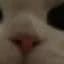 DAWIDEKCS2
