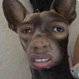 fatadriani