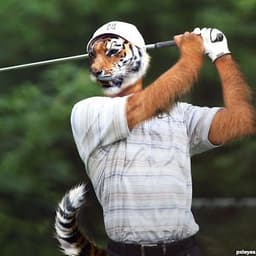 TlGERWOODS