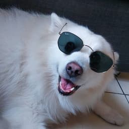 Jubaa420
