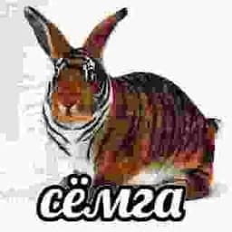 Albertepti