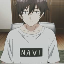 Na_VI