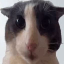 pawesome