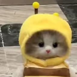 Ayzao