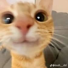 ExecFace