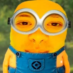 Kakashkee52