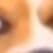 nik_reborn