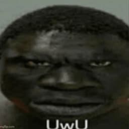 B0Dik