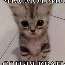 kal_l_la1337