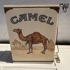 CamelCS2