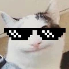 B0tNANI
