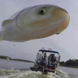 SiuFok