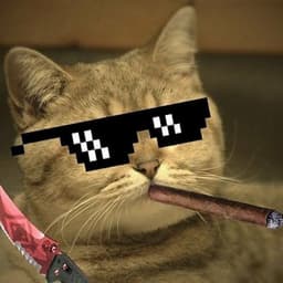 reFORCE666