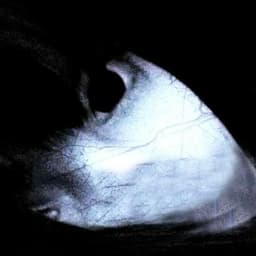 ioawu