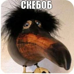 GeiskiPrince