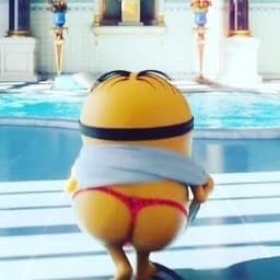 minionpopa
