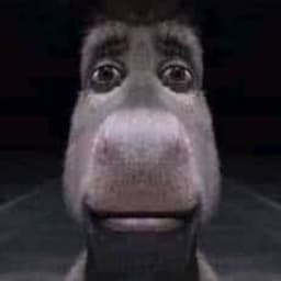 Owtto