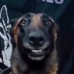 LuukF