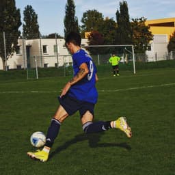 RazviiFL