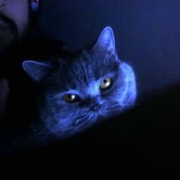 _mBT