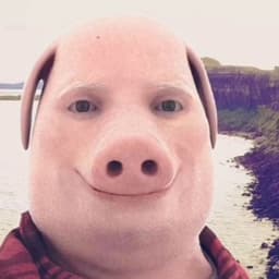 FRockER