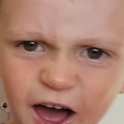 LechanFifka