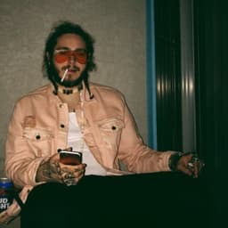Vivalvi