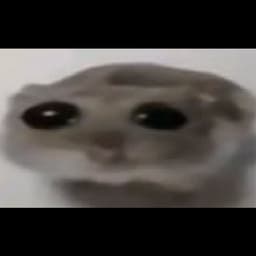 SpringCrab