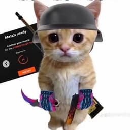 qWinnerPy