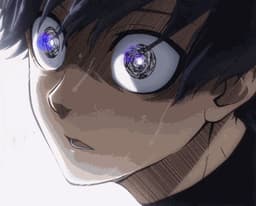 watanabexd