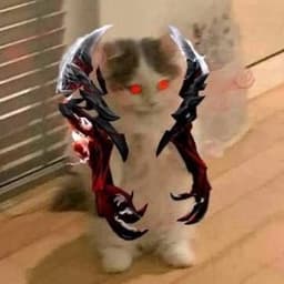 Ilgoken