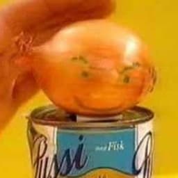 Berggie