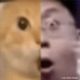 Nik0Major_