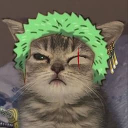meow-zoro