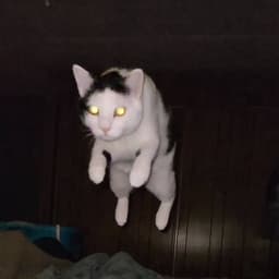 br0uk_