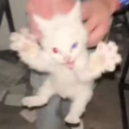 baka0_0