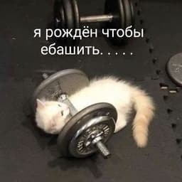 last_round