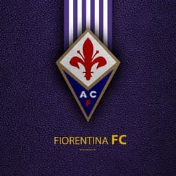 roninho33