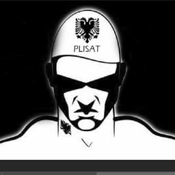 PLiSi_mAn87