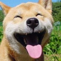 happi_boi