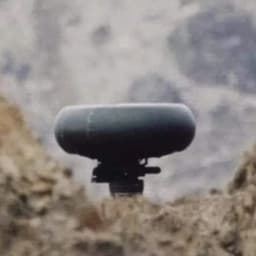 kaibab